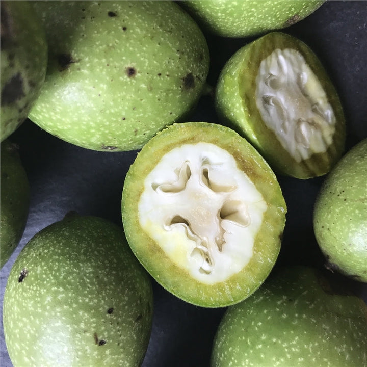 Green Walnut Tree Seeds for Planting – Heirloom Non-GMO Garden Seeds