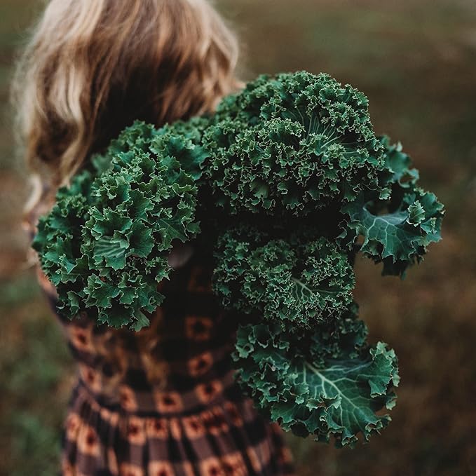 Kale Seeds