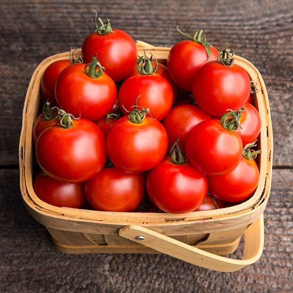 Light Red Tomato Seeds