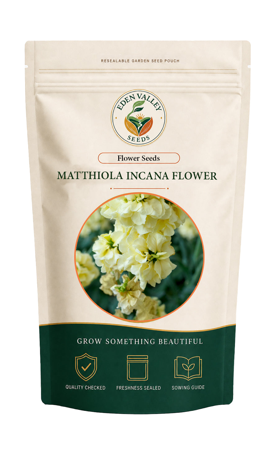 Light Yellow Matthiola Incana flowers blooming in a garden