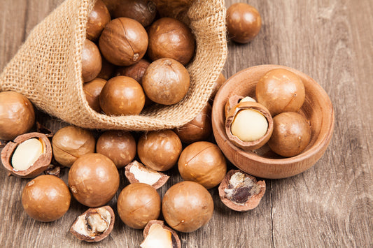 Macadamia Nut Tree Macadamia integrifolia Tree Seeds for Planting – Heirloom Non-GMO Garden Seeds