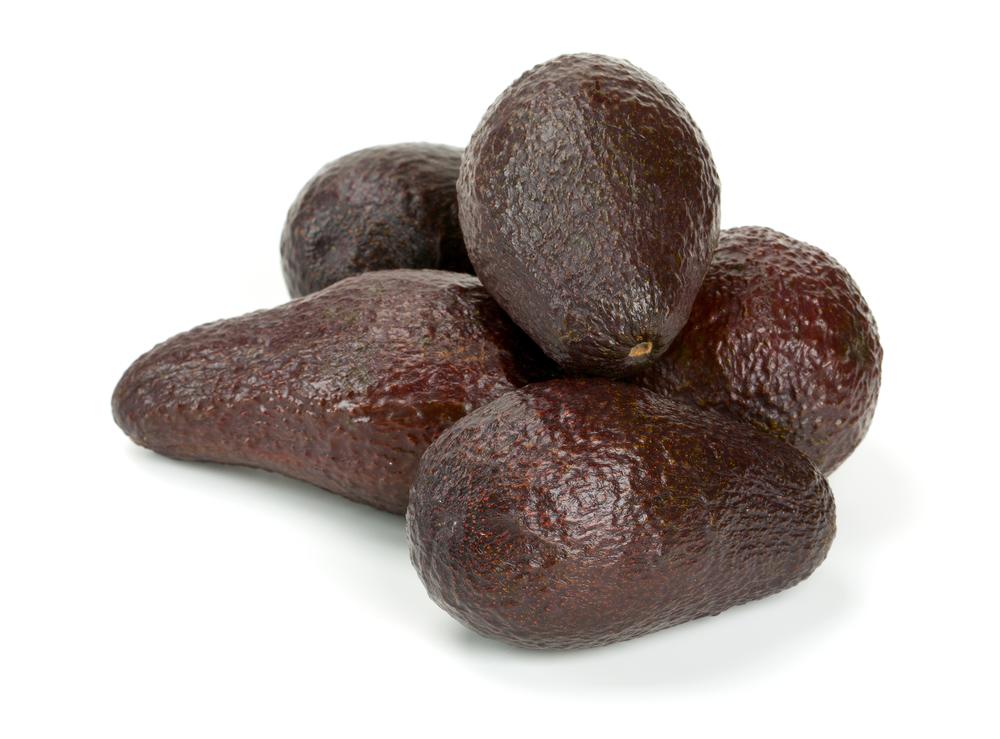Cold Hardy Avocado Seeds