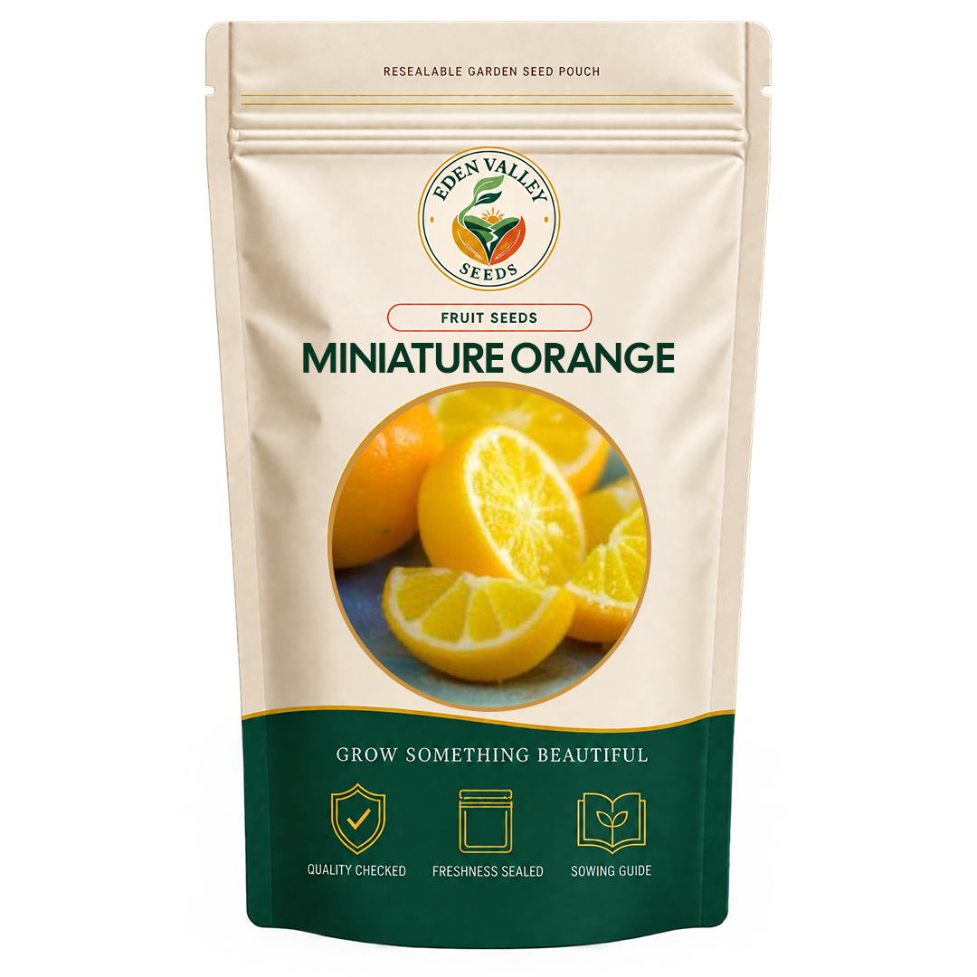 Miniature Orange Tree Seeds for home gardens