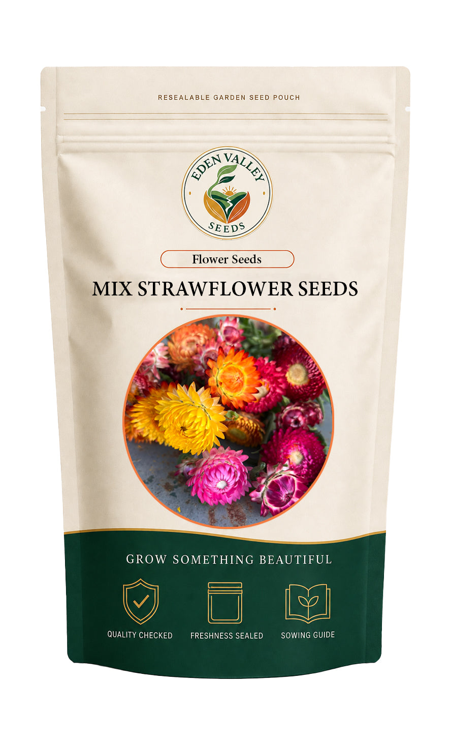 Mix Strawflower Seeds for Planting with colorful papery blooms