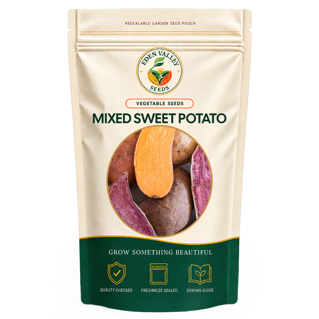 Mixed Sweet Potato Vegetable Seeds for home gardens