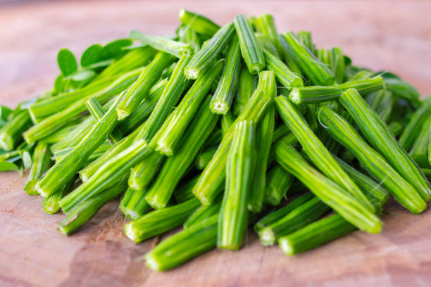 Moringa Vegetable Seeds for Planting with Moringa oleifera tree foliage and green pods