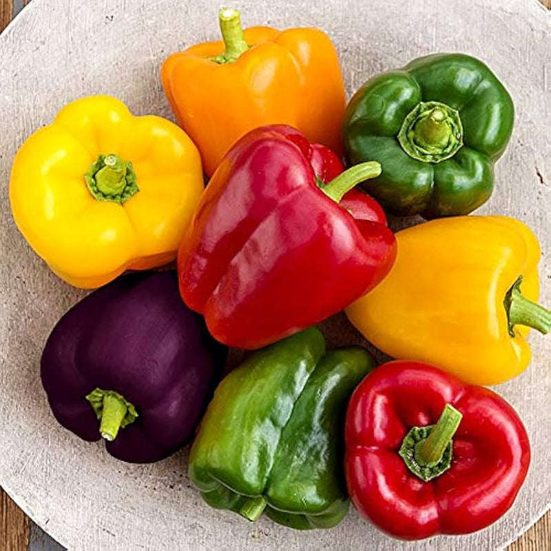Mixed Color Pepper Seeds for Planting – Heirloom Non-GMO Garden Seeds