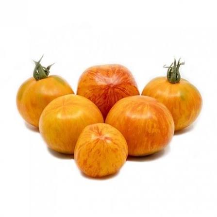 Neon Peach Tomato Seeds for Planting featuring distinctive peach to orange-pink tomatoes for home vegetable gardens
