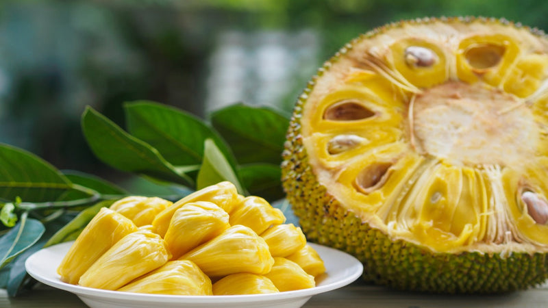 Yellowgreen Jackfruit Fruit Seeds for Planting – Heirloom Non-GMO Garden Seeds