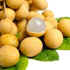 Graines de fruit Longane jaune à planter – Semences potagères anciennes sans OGM