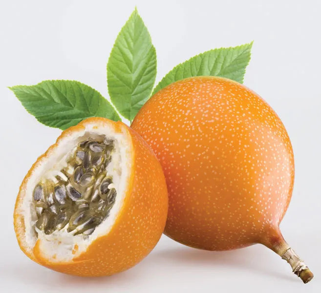 Orange Passion Fruit Seeds for Planting – Heirloom Non-GMO Garden Seeds