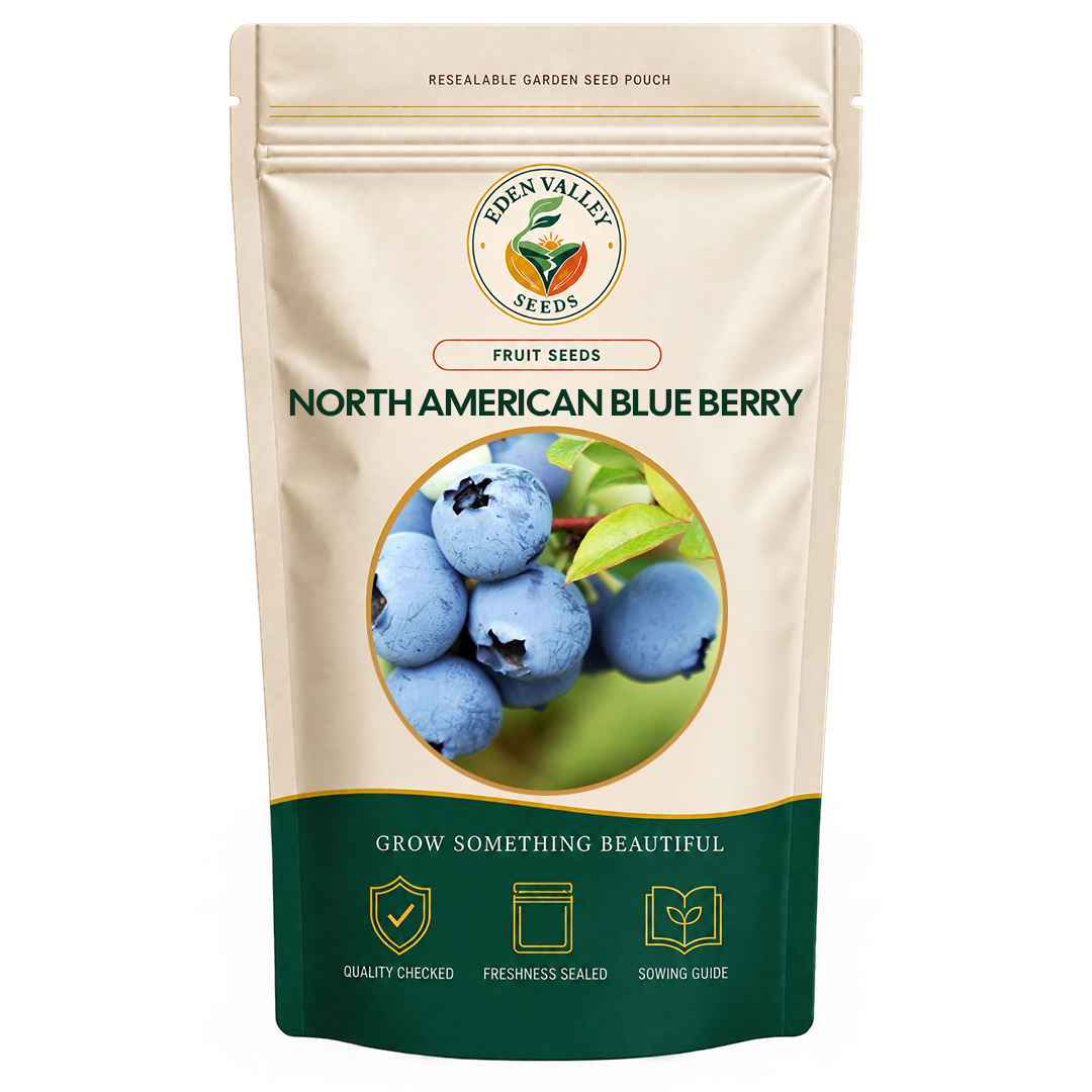 North American Blueberry Seeds for planting