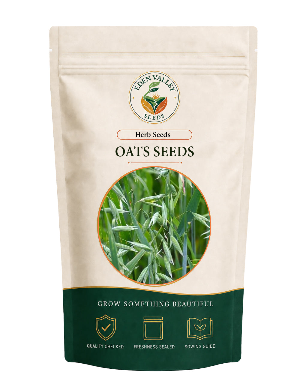 Oats Seeds for Planting with tall green foliage and developing oat heads