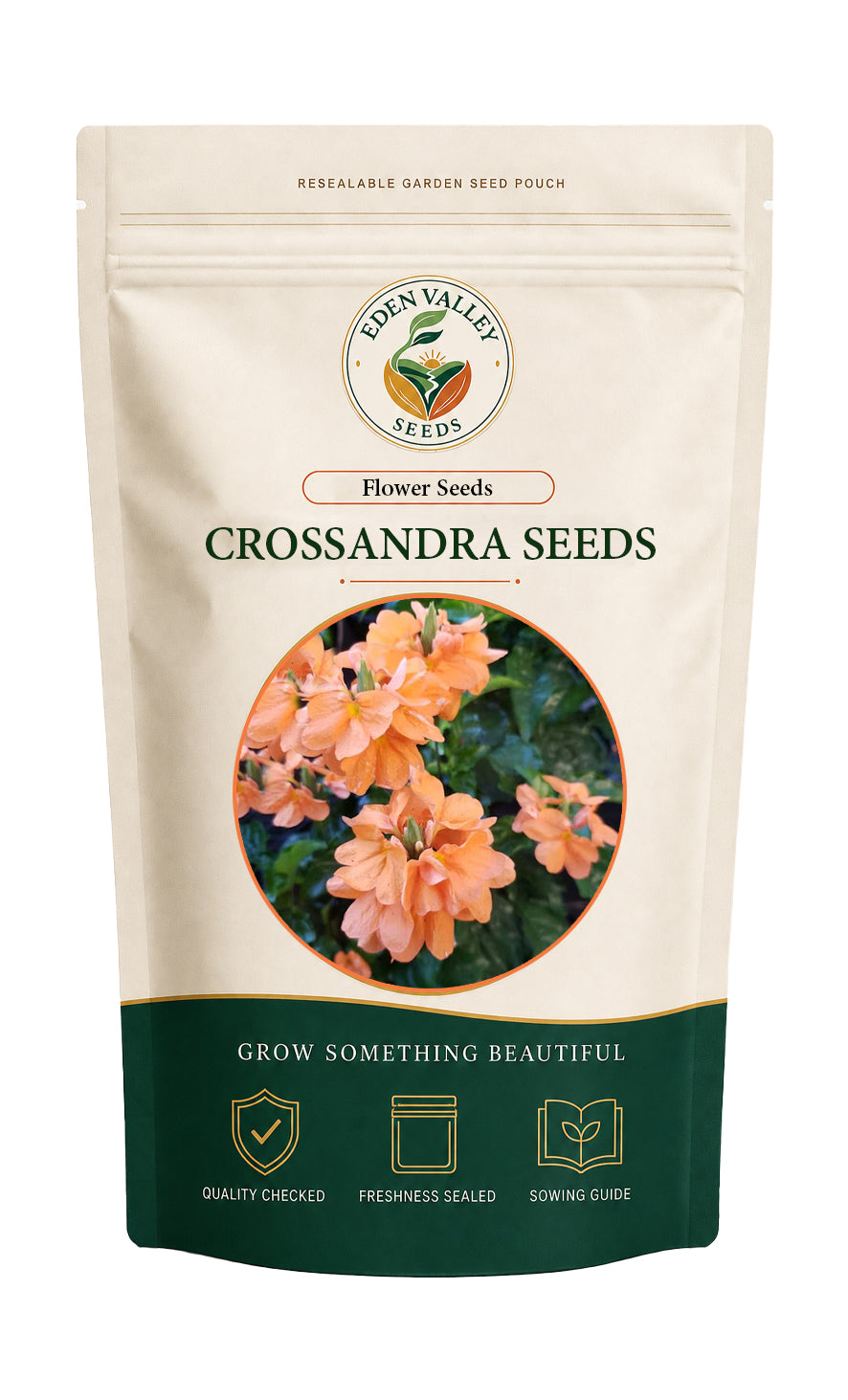 Orange Marmalade Crossandra Flower Seeds with bright orange blooms and green foliage