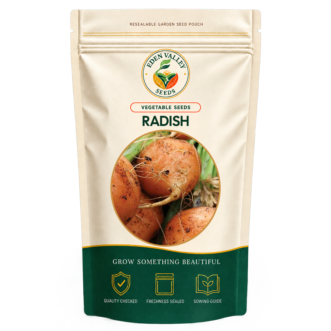 Orange Radish Seeds for planting
