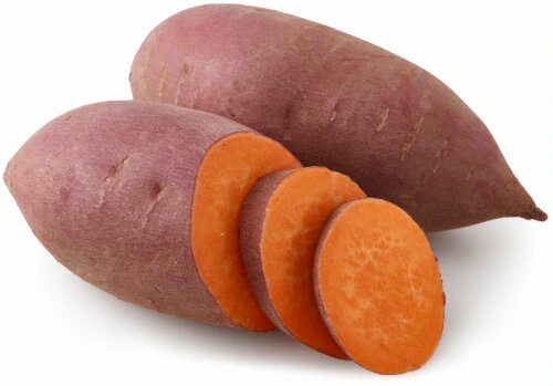 Orange sweet potato vegetable growing in a home garden