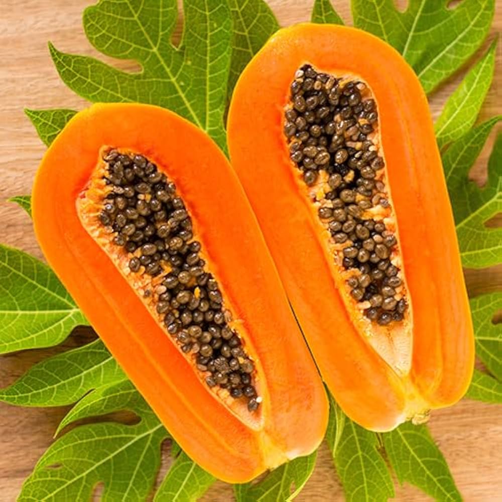 papaya carica seeds