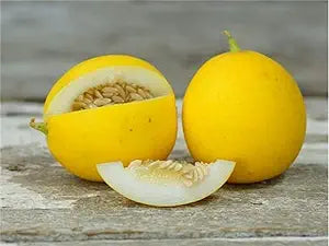 peach melon seeds