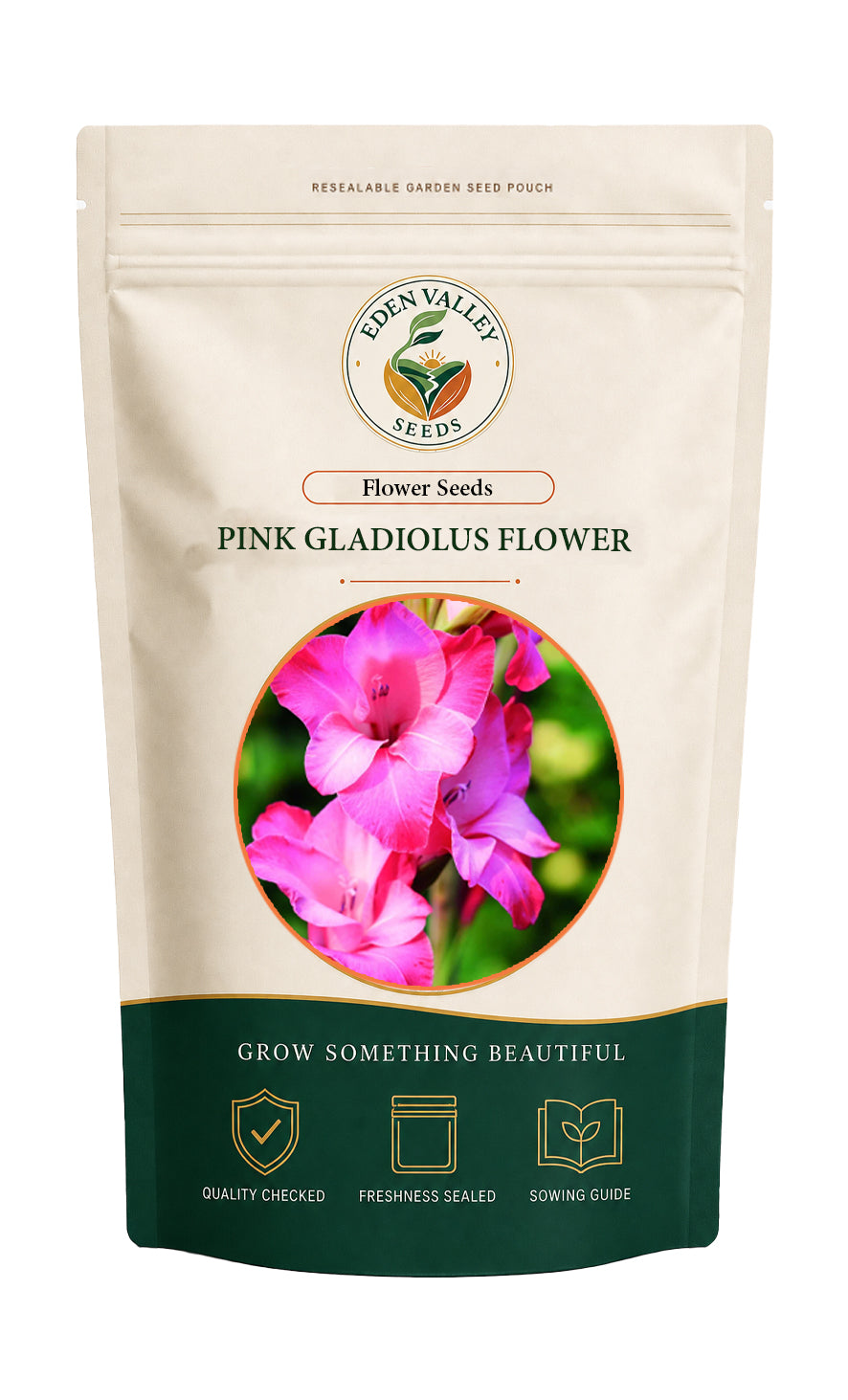 Pink Gladiolus Flower Seeds for home gardens