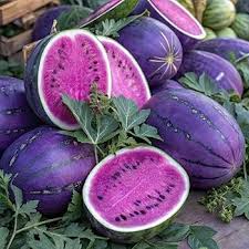 Pink Watermelon Fruit Seeds for Planting