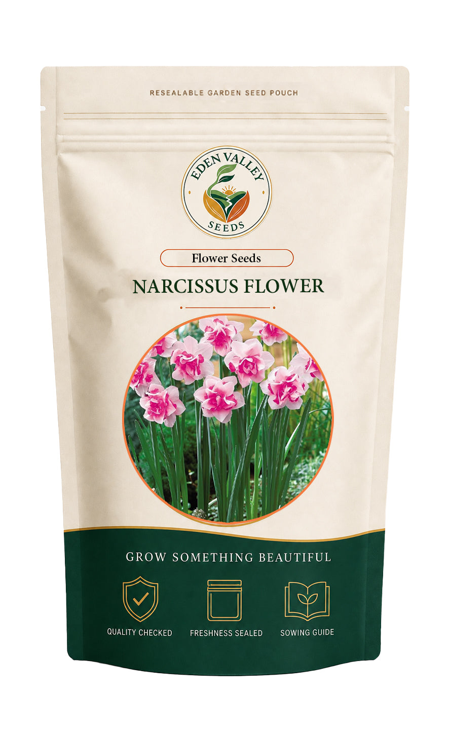 Pink White Narcissus Flower for home gardens