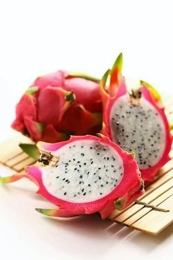 White Dragon Fruit Seeds for Planting – Heirloom Non-GMO Garden Seeds
