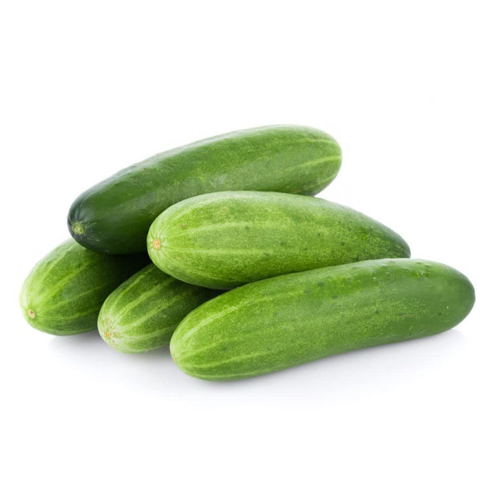 Poona Kheera Cucumber Seeds