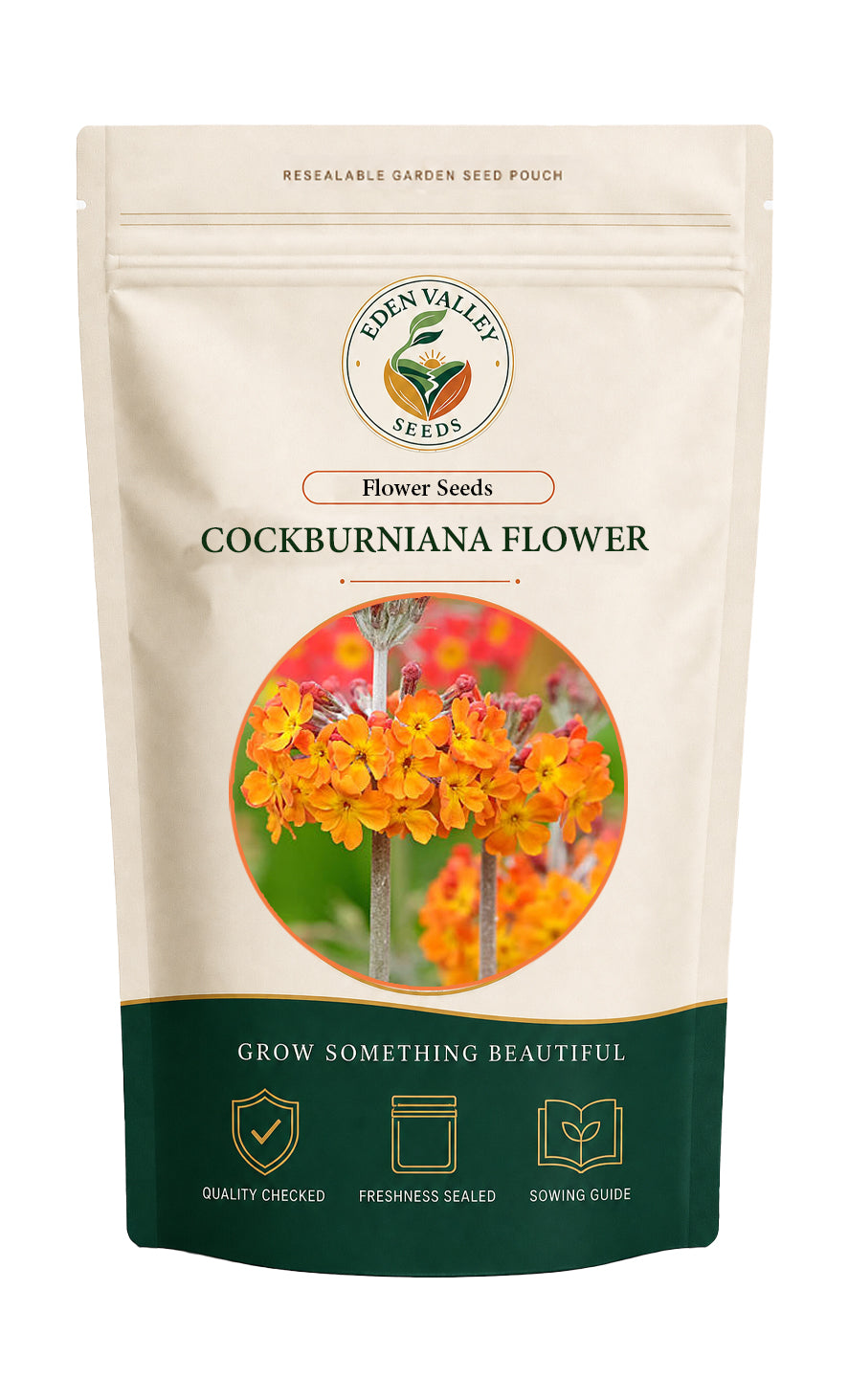 Primula Cockburnia Primrose Flower Seeds for gardens