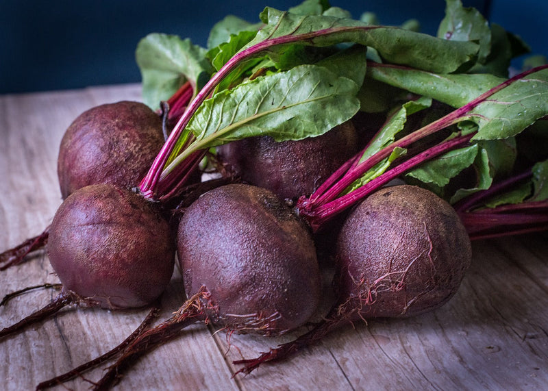 Purple Beet Seeds for Planting – Heirloom Non-GMO Garden Seeds