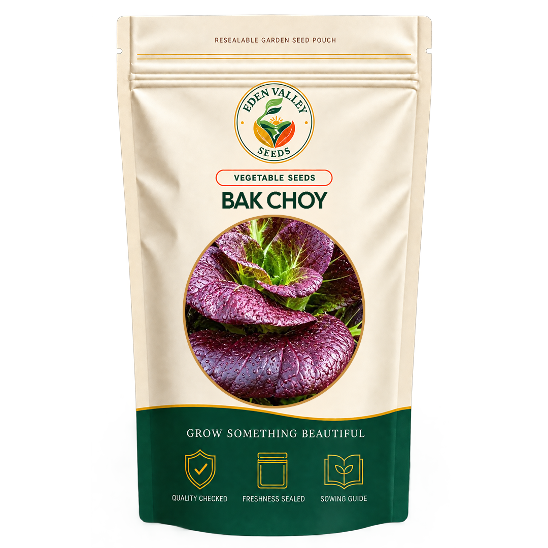 Purple Bok Choy Vegetable Seeds for home gardens