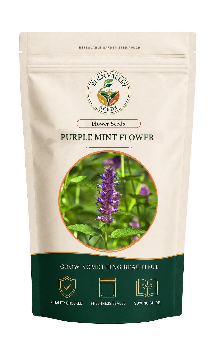Purple Mint flowers blooming in a garden