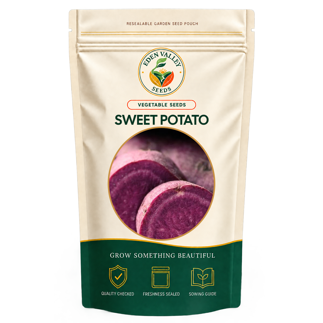 Purple Sweet Potato Seeds for planting