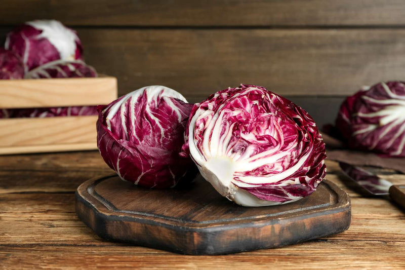 Radicchio Seeds for Planting – Heirloom Non-GMO Garden Seeds