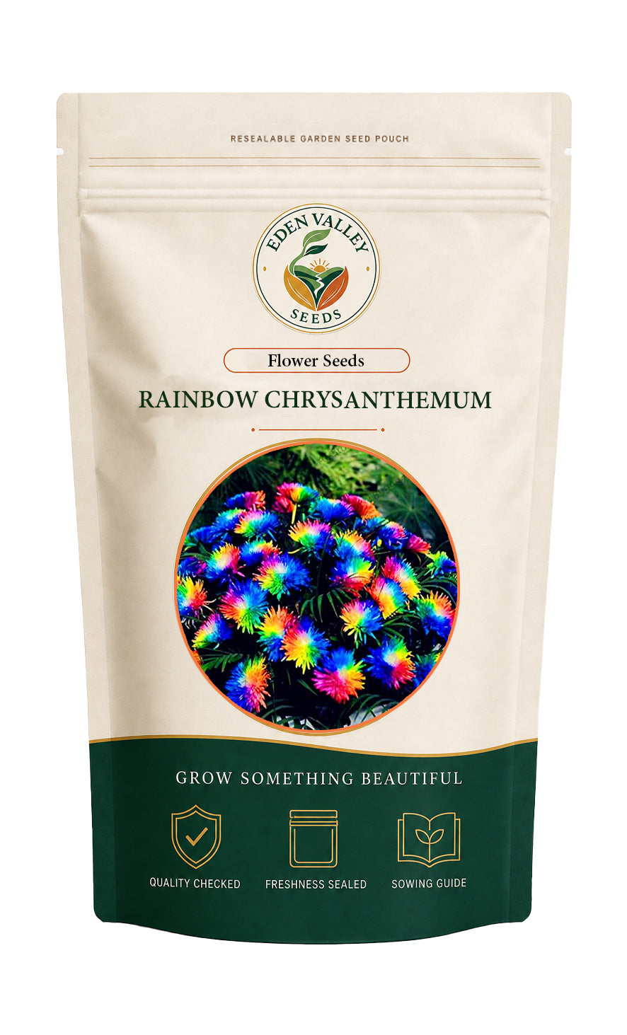 Rainbow Chrysanthemum Flower Seeds for home gardens