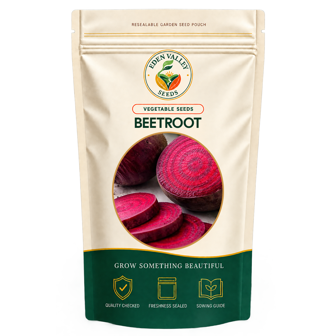 Red Beetroot Seeds for planting