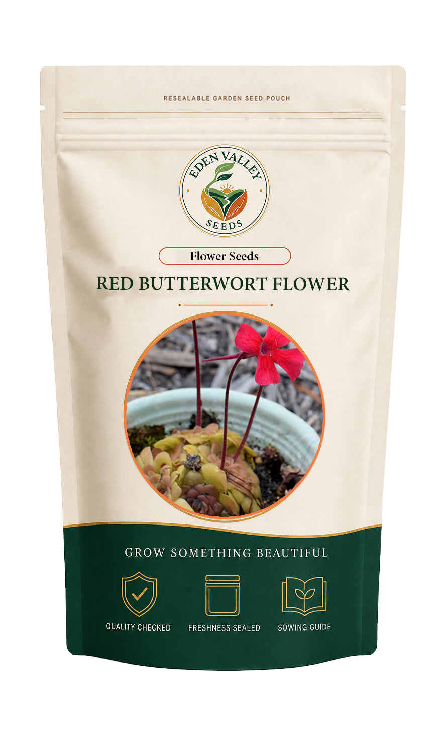Red Butterwort flowers blooming in a garden