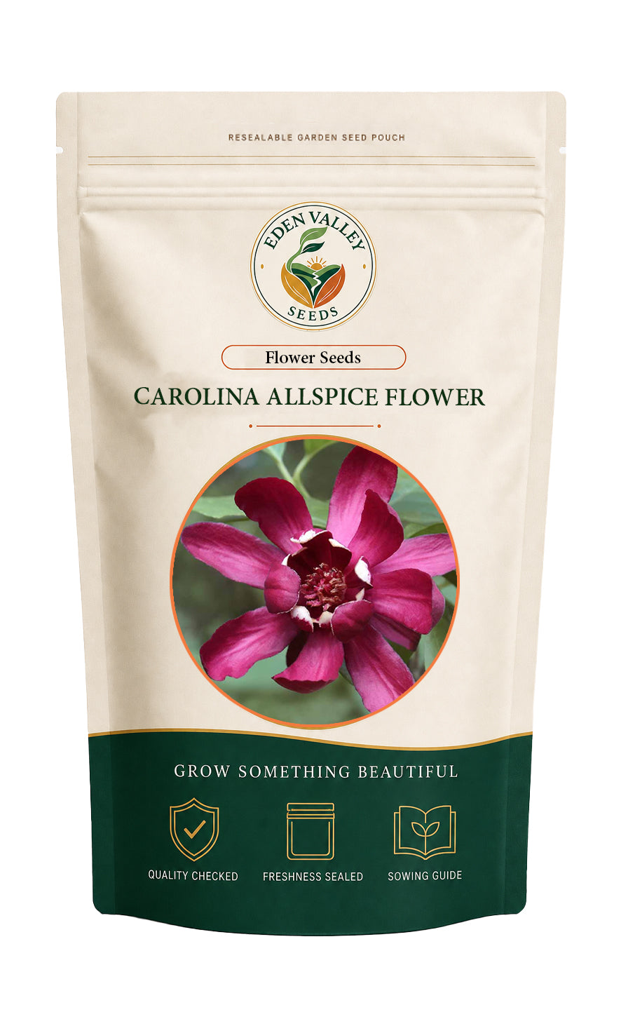 Red Carolina Allspice Flower Seeds for home gardens