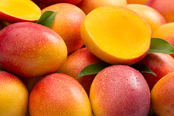 Red Mango Fruit Seeds for Planting for Growing Tropical Mango Trees