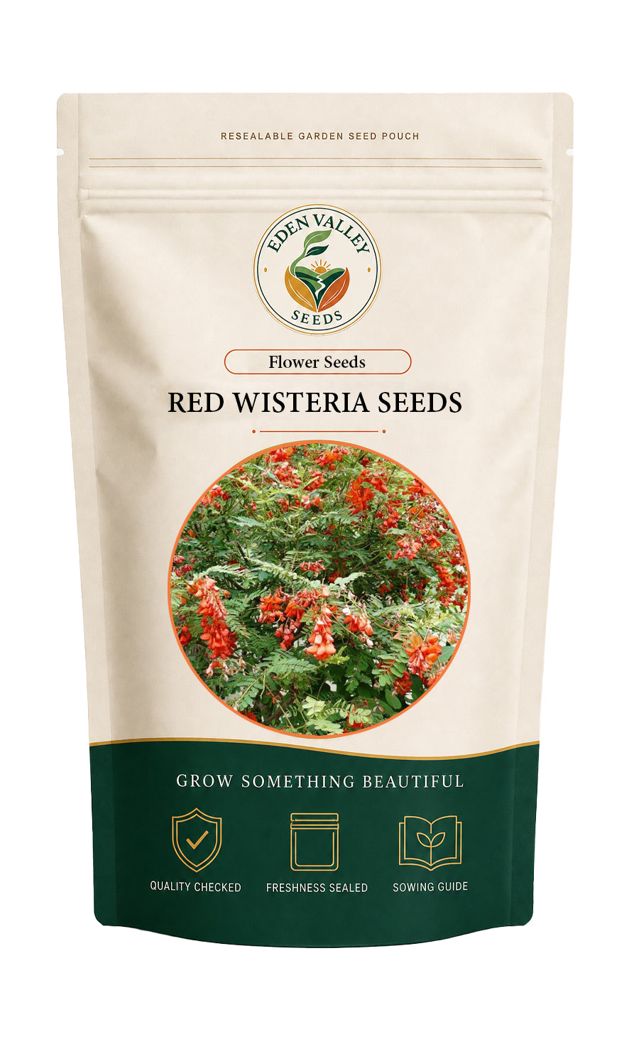 Red Wisteria Colademononis Seeds Non-GMO for planting vibrant garden flowers at home