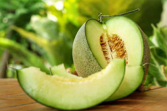 Green Flesh Rocky Ford Cantaloupe Cucumis melo Fruit Seeds for Planting – Heirloom Non-GMO Garden Seeds
