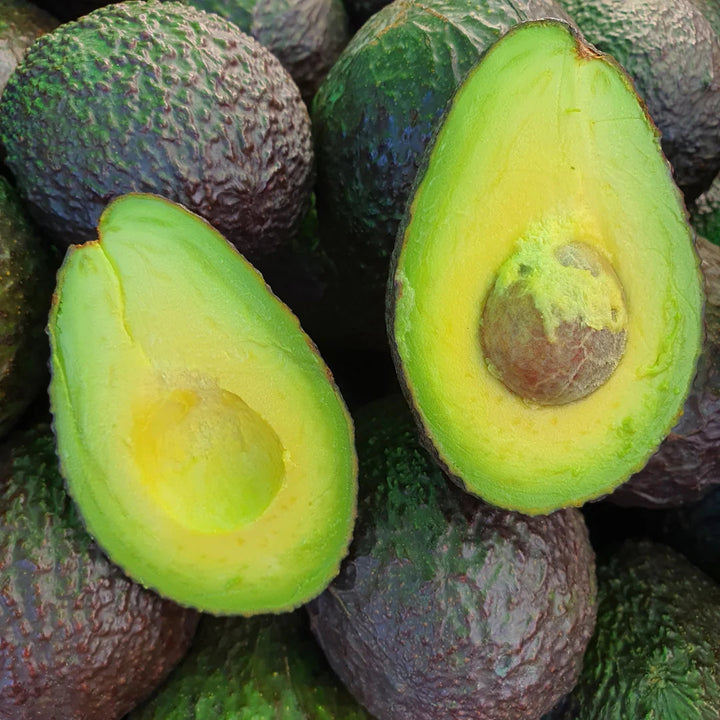 Fresh Sharwil avocado fruit with green skin and creamy flesh, showcasing the fruit variety for home garden growing.