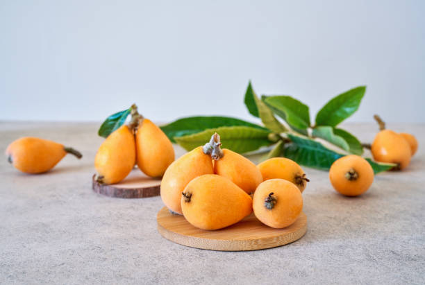 Sherry Wood loquat fruit seeds for planting, featuring an evergreen loquat tree with glossy green leaves and golden-yellow fruit.