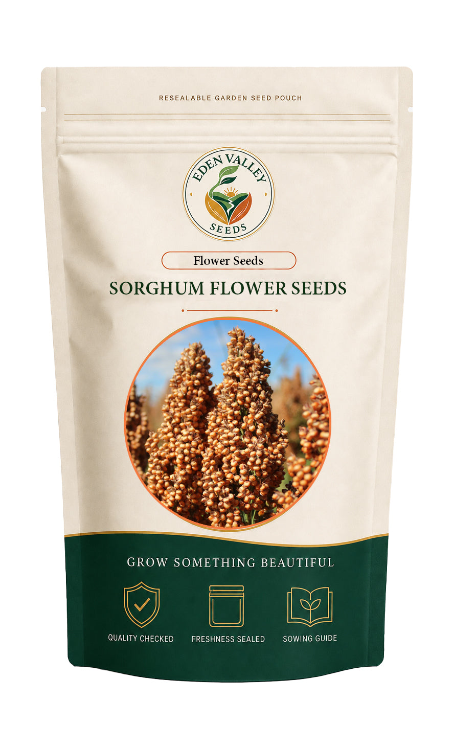 Sorghum Flower Seeds for home gardens