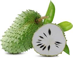 tropical soursop seeds