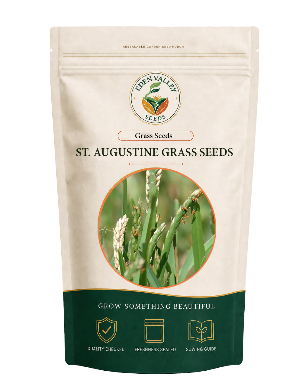 St. Augustine Grass Seeds for Planting for growing lush green lawn grass