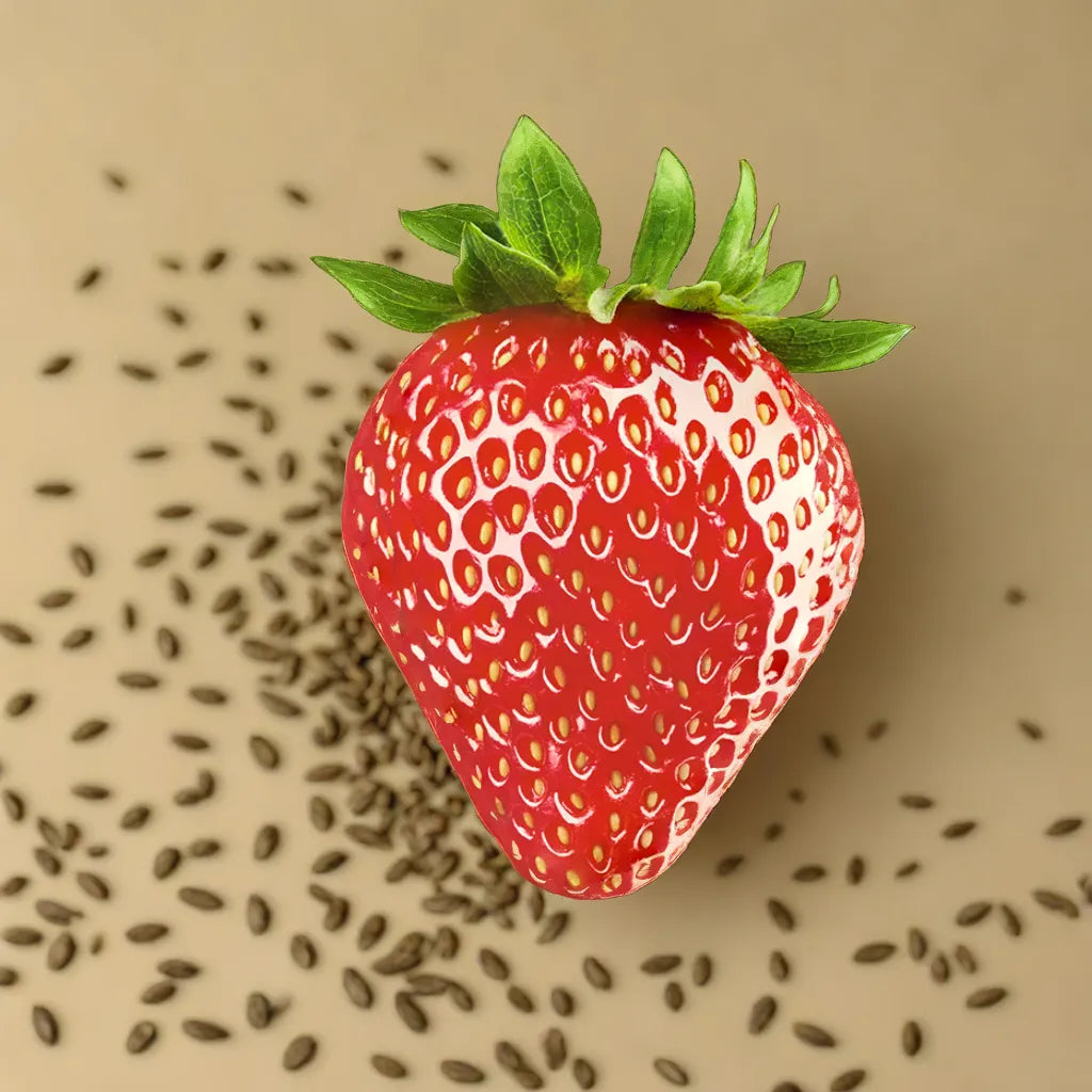 strawberry fruit seeds