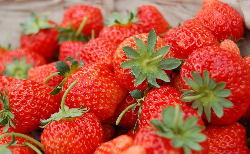 Orange Strawberry Fruit Seeds for Planting – Heirloom Non-GMO Garden Seeds