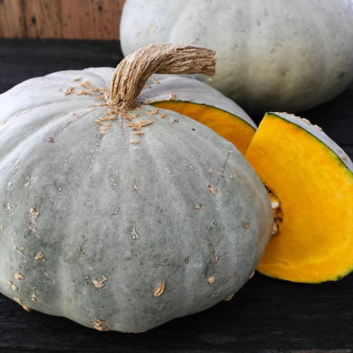 Sweet Winter Squash Seeds