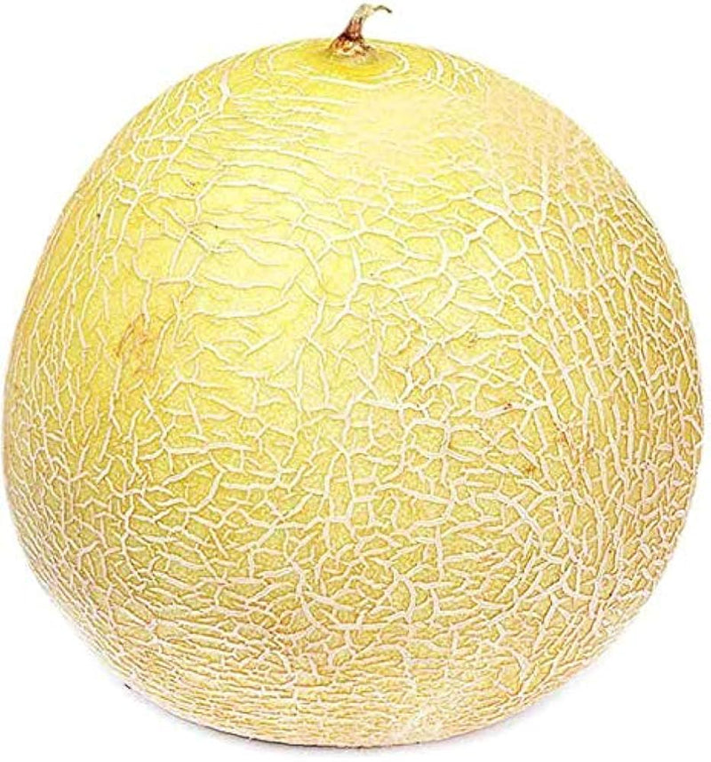 Lada Melon Garden Seeds – Heirloom Summer Melon Variety