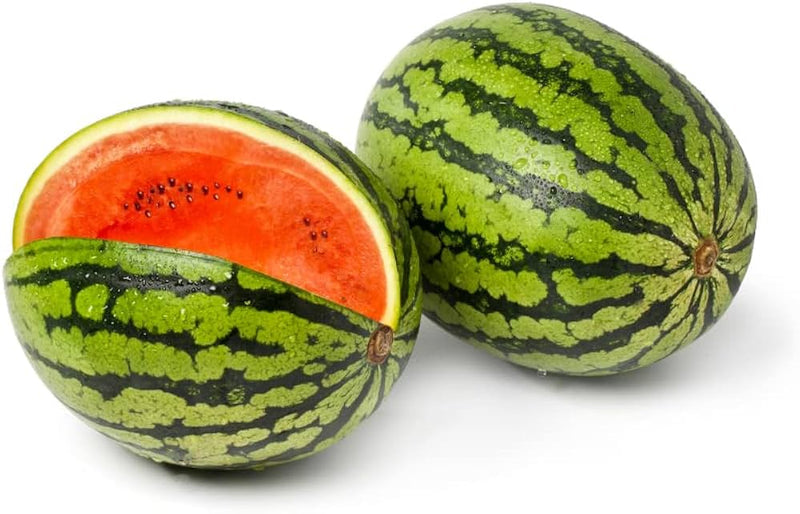 Melon Garden Seeds – Heirloom Non-GMO Melon Variety